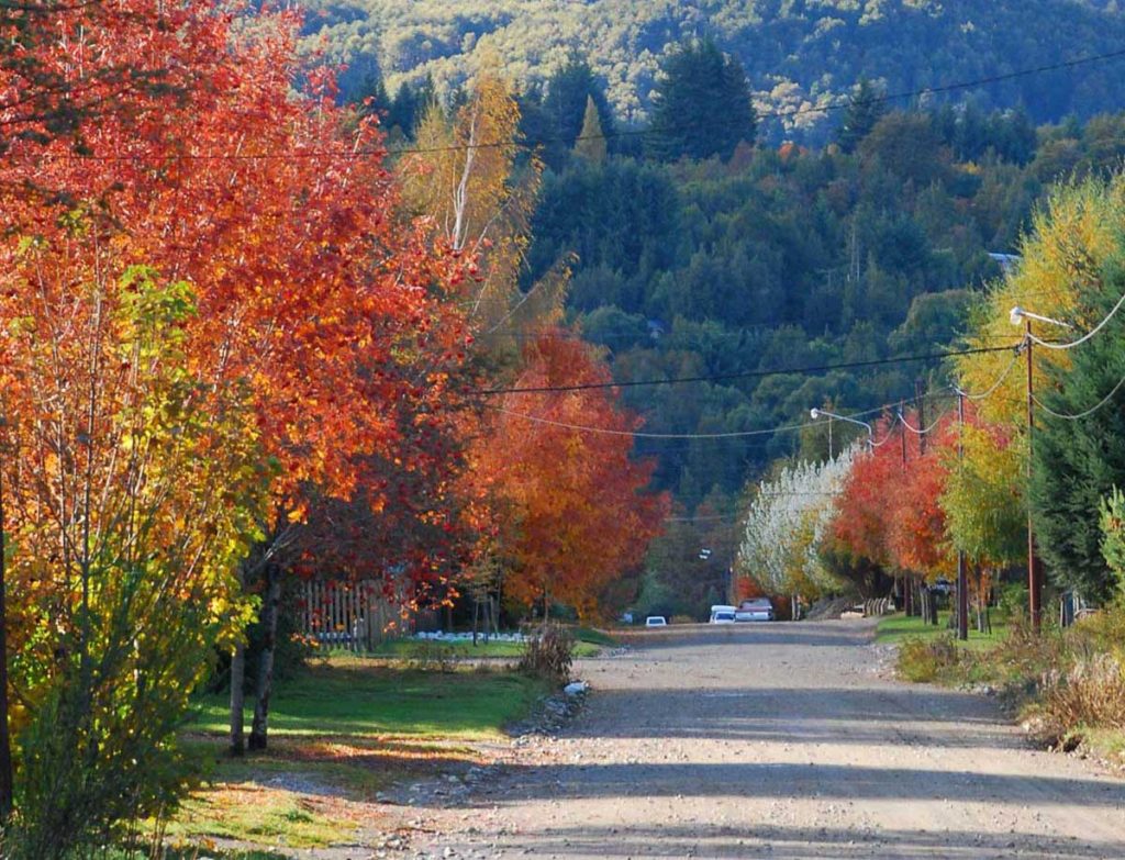 Calle de Villa La Angostura en otoño Calle arbolada con hojas de colores otoñales en Villa La Angostura, rodeada de montañas y bosques patagónicos