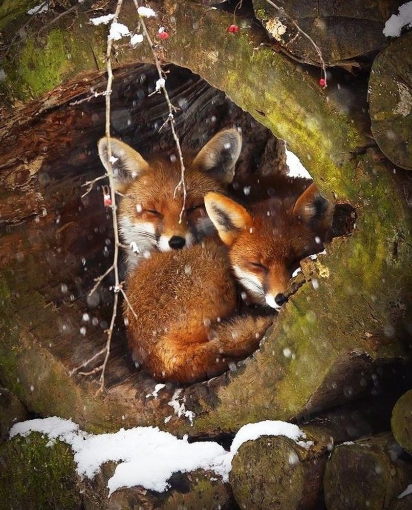 Fotos imperdibles que circulan por Internet 15