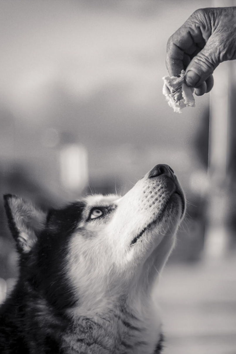 Fotos imperdibles que circulan por Internet 20