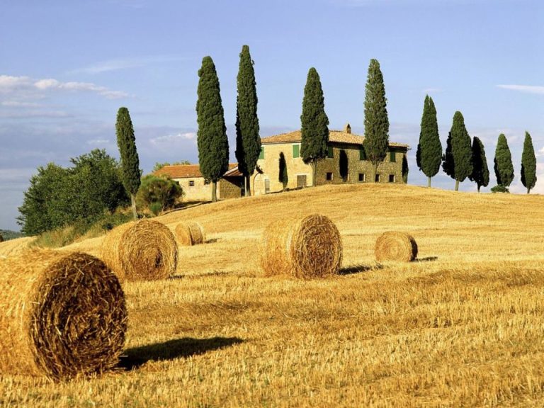 rollos de pasto en la toscana