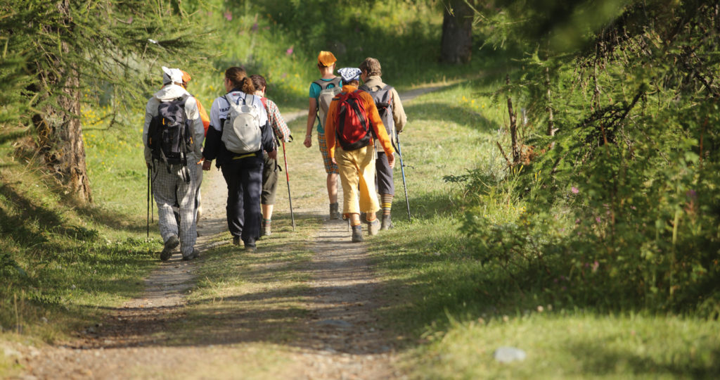 grupo de personas caminando por un sendero de montaña