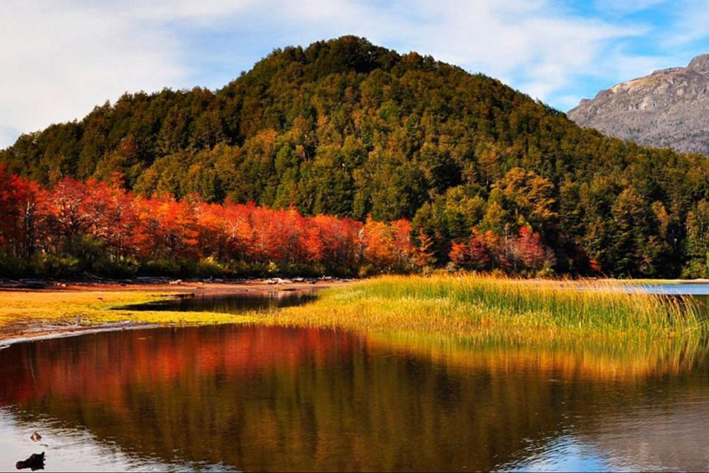 Paisaje otoñal en la Patagonia argentina con bosque y lago reflejando los colores