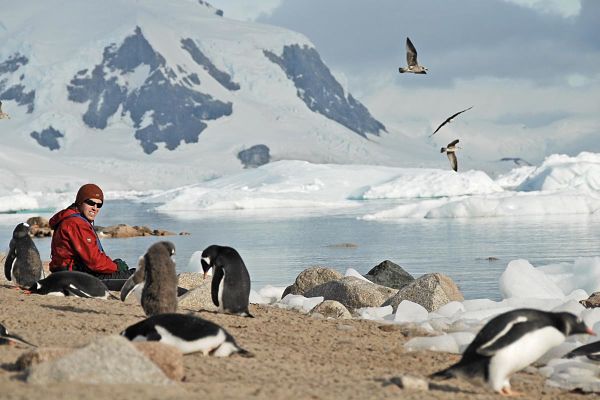 Pasajero de crucero visitando reserva de pingüinos en la Antártida