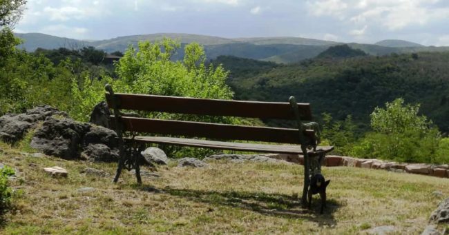 Vacaciones de invierno en Córdoba: qué se puede hacer 3