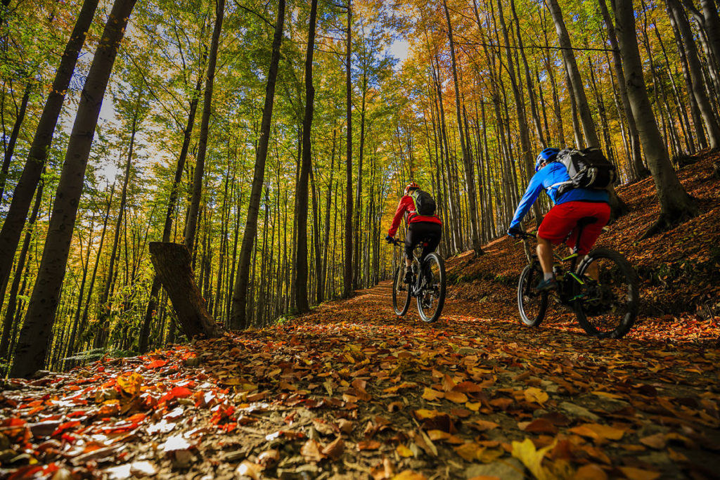 Paseos en bicicleta en Villa la Angostura. Foto: Bigstock alquiler de bicicletas en villa la angostura