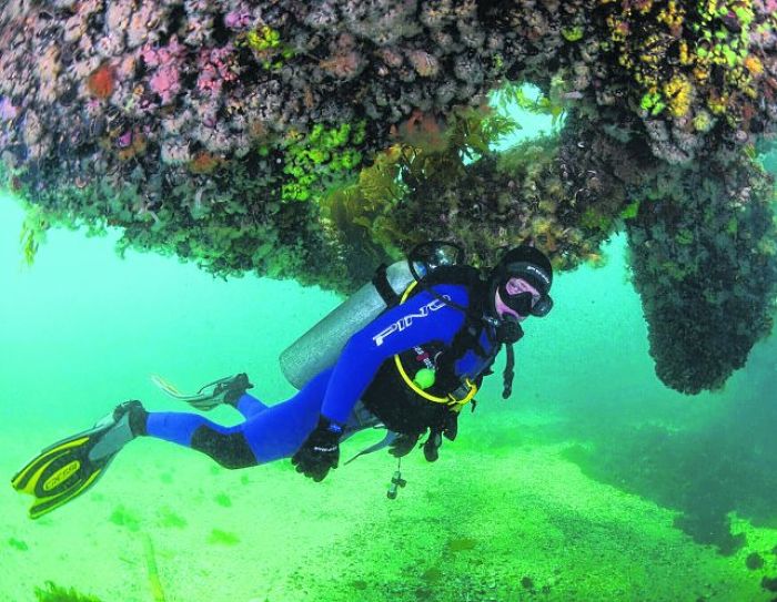 buceo en Madryn