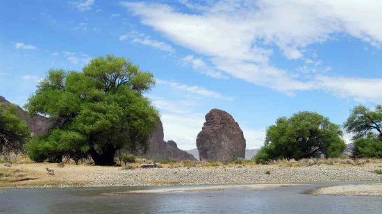 Piedra en paisaje