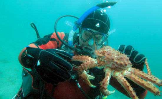 buceo en ushuaia