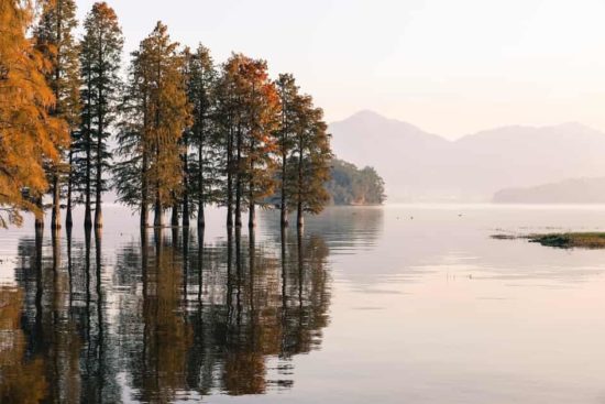 Finlandia es el país más feliz del mundo. Paisaje del pais mas feliz