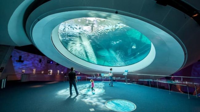 Qué hacer en Miami: guías gratuitas para conocer los imperdibles 8