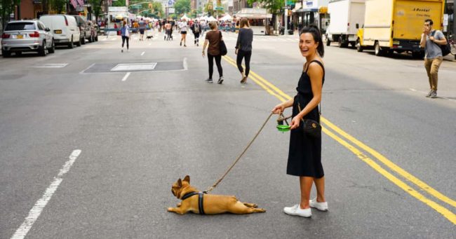10 hoteles para perros que adoran recibirlos 12