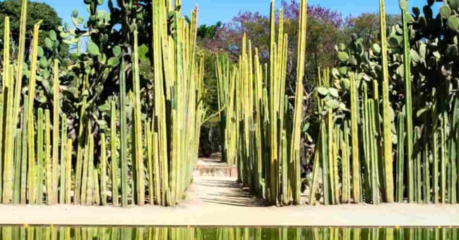 Qué hacer en Oaxaca: un destino repleto de cultura e historia 8