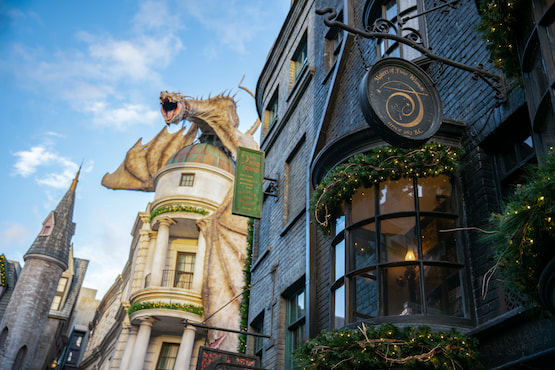 harry potter navidad