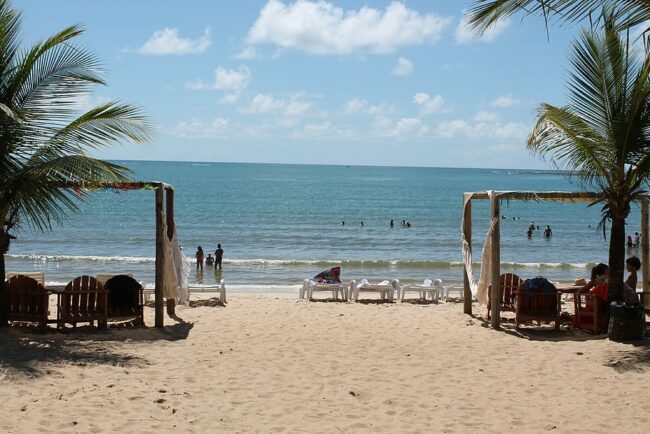 Playa tropical con palmeras, reposeras y turistas disfrutando del mar.